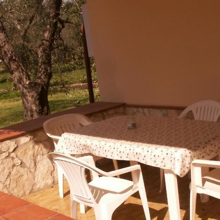 Villa Oleandro Ciccino Vieste Eksteriør bilde