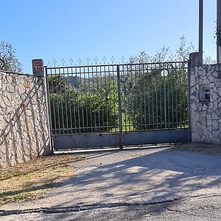 Villa Oleandro Ciccino Vieste Eksteriør bilde